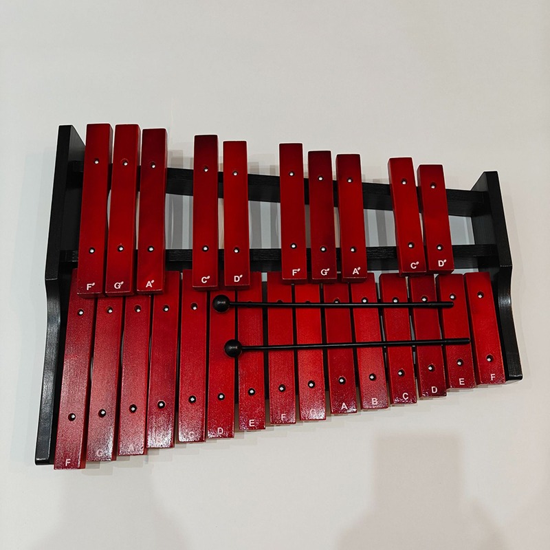 Gambang Portabel 25 Nada Gamba - Kids Toys Xylophone ulasan dan harga
