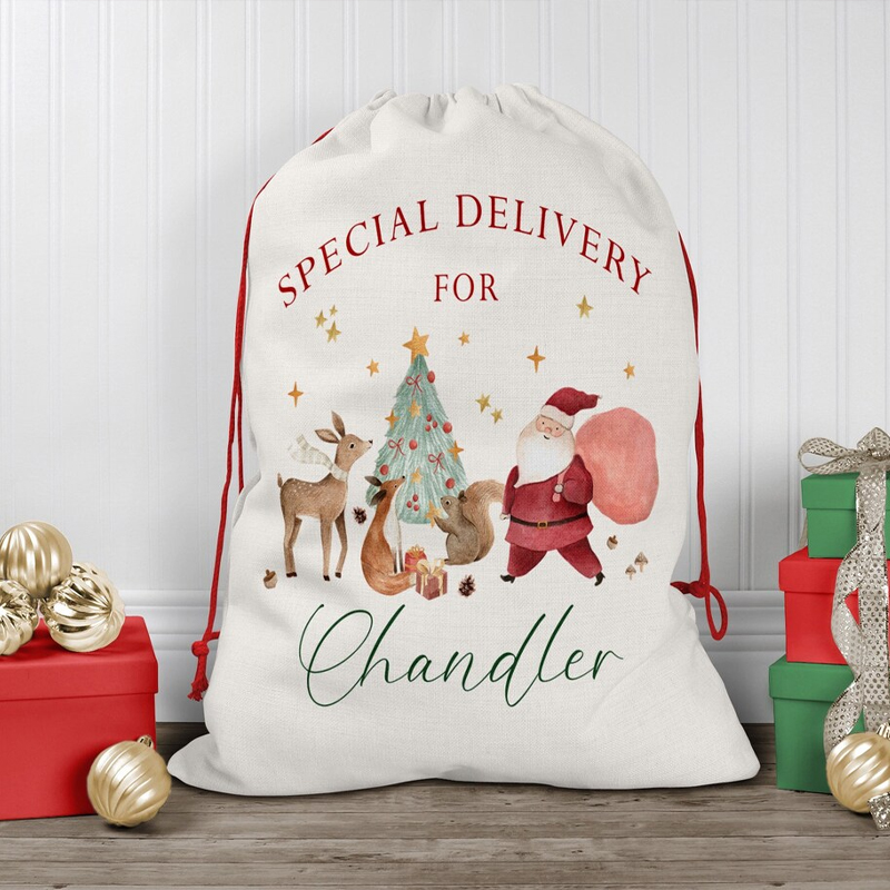 Tas Hadiah Serut Natal Nama Ya - Kids Toys Names ulasan dan harga